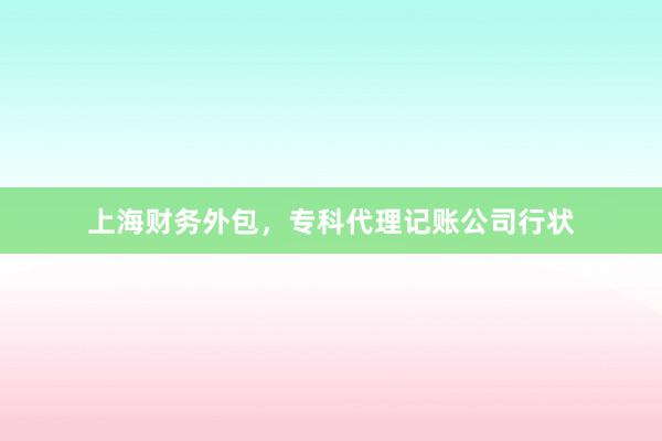 上海财务外包，专科代理记账公司行状